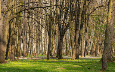 Park of Polish Pilots in Krakow