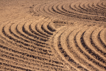 Fototapeta na wymiar brown ground plowed field, harrow lines. Arable background. Pattern of curved ridges and furrows in a humic sandy field. A freshly ploughed field showing a geometric pattern of shadows in the furrows