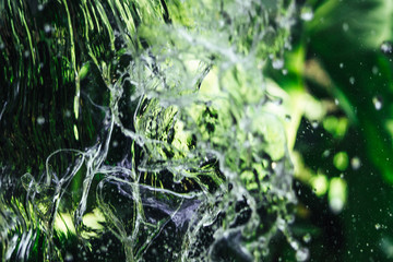 Tropical plants and splash water