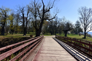 Zamek w Janowcu  © Albin Marciniak