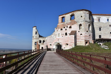 Zamek w Janowcu  © Albin Marciniak