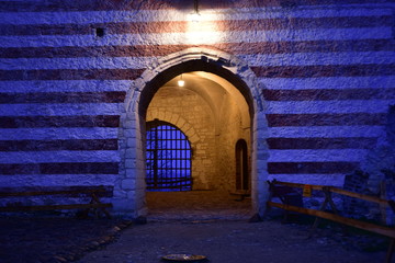 Zamek w Janowcu  © Albin Marciniak