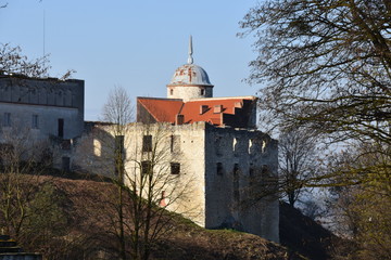 Zamek w Janowcu  © Albin Marciniak