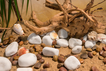 Sea shells and pebbles. Abstract textured background.