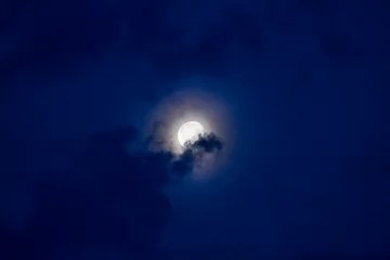 Selbstklebende Fototapete Vollmond und Bäume Heller Nachthimmel mit Mond und Wolken