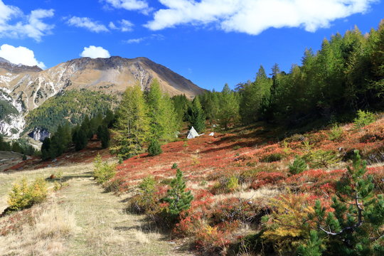 Veduta della riserva forestale selvasecca 