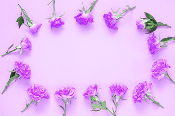 Rose flowers composition on pink background