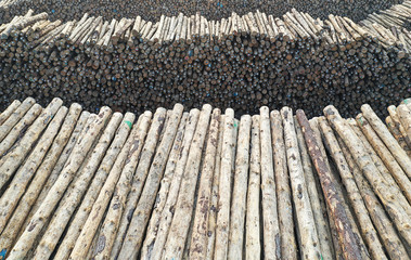 Wood stacking plant