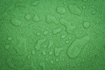 water drops on green