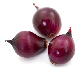 Purple onion isolated.