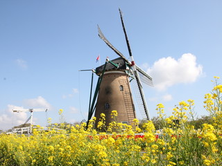 風車　佐倉観光名所