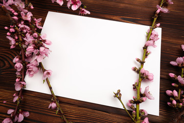 White paper sheet and sprigs of the apricot tree with flowers on wooden background. Place for text. The concept of spring came, happy easter, mother's day.Top view.Flay lay. Copy space.