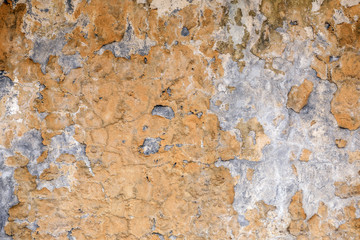 Yellow moss on a gray wall. Background wall, Moss texture.