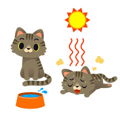 Vector cute cat characters got heatstroke, sick, illness symptoms isolated on white background