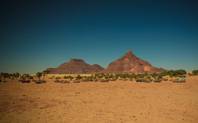 salt mining in the Saline Demi dry lake, Fada, Ennedi, Chad