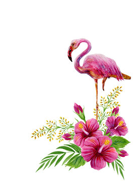 Hand drawn watercolor painting with pink flamingo and Chinese Hibiscus rose flowers isolated on white background. © Marisha