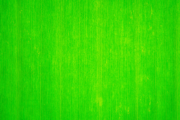 Banana leaf texture background.