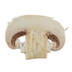Fresh button mushrooms in a cut isolated on white. 100-percent sharpness.