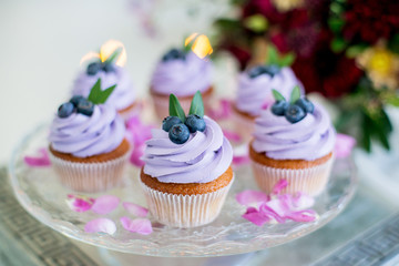 Cupcakes with frosting and sprinkles