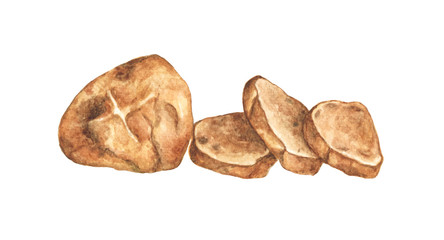 Grilled bread isolated on white background. Sliced bread. Watercolor hand drawn illustration.