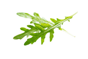 Fototapeta premium Arugula leaves isolated on white background.