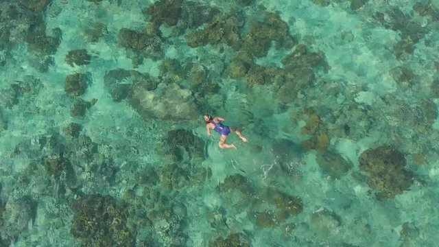 Aerial: woman snorkeling on coral reef tropical caribbean sea turquoise water Indonesia Banda Islands Pulau Hatta Maluku, tourist diving travel destination. Native cinelike D-log color profile.