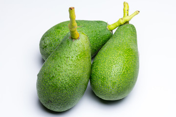 Aguacates recolectados