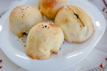 Asian tandir samsa.
