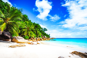 paradise beach on the seychelles 11 - obrazy, fototapety, plakaty