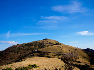 【伊豆半島】春の高原風景【伊豆山稜線歩道・だるま山周辺】