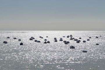 boats on the beach