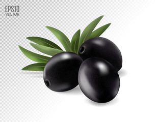 Black olives with leaves. Photo-realistic vector, 3d