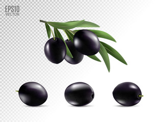 Black olives set isolated. Photo-realistic vector, 3d