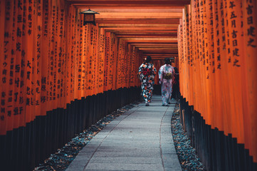 Obraz premium Women in traditional japanese kimonos walking at Fushimi Inari Shrine in Kyoto,One of famous landmarks in Kyoto, Japan