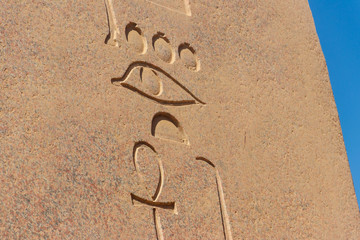 Ancient egyptian hieroglyphs on the wall in Karnak Temple Complex in Luxor, Egypt