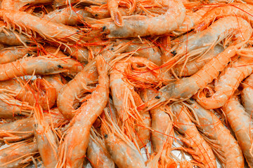 Pink prawns background