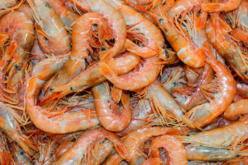 Pink prawns background