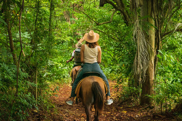 Horse ride through jungle in vacation.