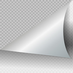 Paper Curl. Vector Illustration