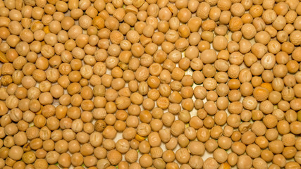 Close up pile of yellow gram flour beans texture, background pattern. Natural grains and cereals. Agricultural product concept. Seamless colorful canvas. Studio shot. Copy space room for text.Top view