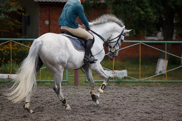 Fotobehang Young man riding white horse on equestrian sport training © skumer