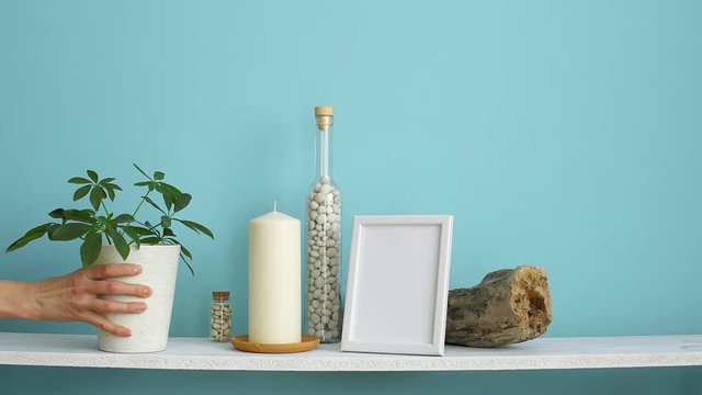 Modern room decoration with Picture frame mockup. White shelf against pastel turquoise wall with Candle and rocks in bottle. Hand putting down potted schefflera plant