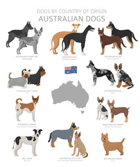 Dogs by country of origin. Australian dog breeds. Shepherds, hunting, herding, toy, working and service dogs  set
