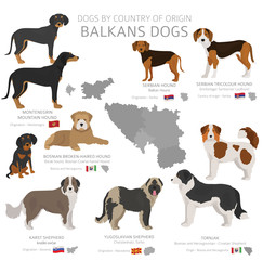 Dogs by country of origin. Balkans dog breeds. Shepherds, hunting, herding, toy, working and service dogs  set