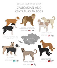 Dogs by country of origin. Caucasian and central asian dog breeds. Shepherds, hunting, herding, toy, working and service dogs  set