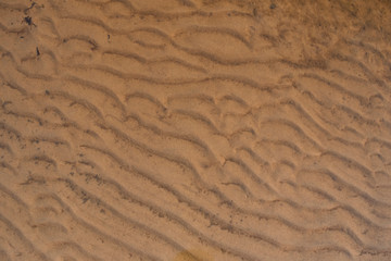 texture of wet sand 