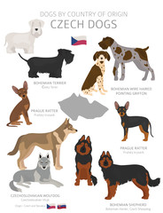Dogs by country of origin. Czech dog breeds. Shepherds, hunting, herding, toy, working and service dogs  set