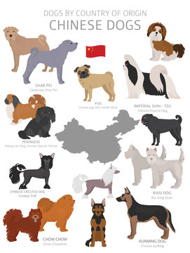 Dogs by country of origin. Chinese dog breeds. Shepherds, hunting, herding, toy, working and service dogs  set