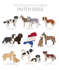 Dogs by country of origin. Dutch dog breeds. Shepherds, hunting, herding, toy, working and service dogs  set