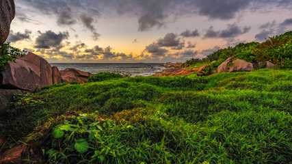 Fototapeta na wymiar Lush green grass in the sunrise on the seychelles 1